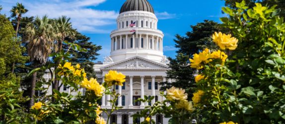 the calfornia state capitol buildling seen through flowers and trees from capitol park